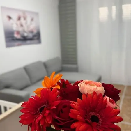 アパート Casa Aurora アルベンガ